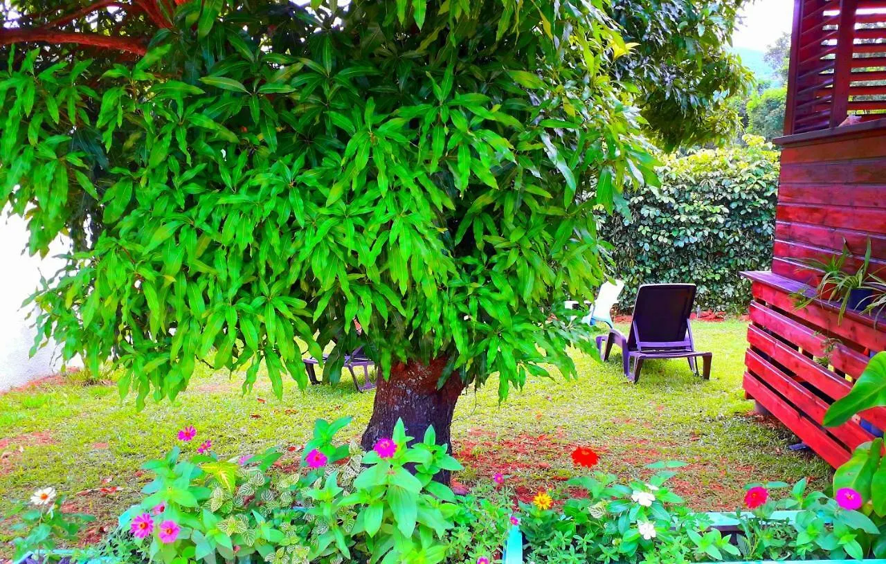 Les Gites Orchidays Deshaies